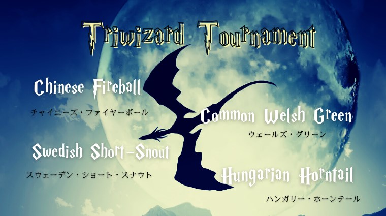 『ハリーポッターと炎のゴブレット』トーナメントのドラゴン4種の名前(英語・日本語)