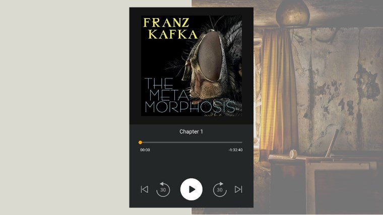 the metamorphosis - my audiobook